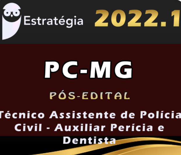 PC-MG (Técnico Assistente de Polícia Civil – Auxiliar Perícia e Dentista) Estrategia 2022 (Pós-Edital) PC MG